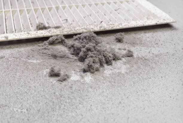 Best Commercial Air Duct Cleaning  in Dunnavant, AL