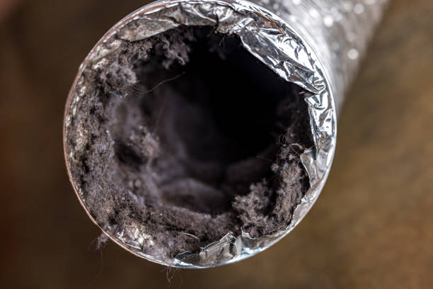 Best Home Air Vent Cleaning  in Dunnavant, AL