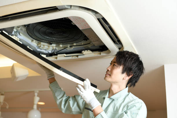 Best Air Vent Cleaning Services  in Dunnavant, AL