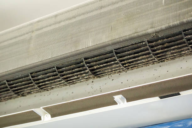 Best Best Air Duct Cleaning Company  in Dunnavant, AL